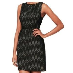 EUC Loft Eyelet Black & Tan Dress | Size 4